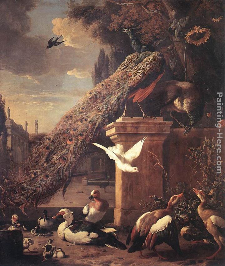 Peacocks and Ducks painting - Melchior de Hondecoeter Peacocks and Ducks art painting